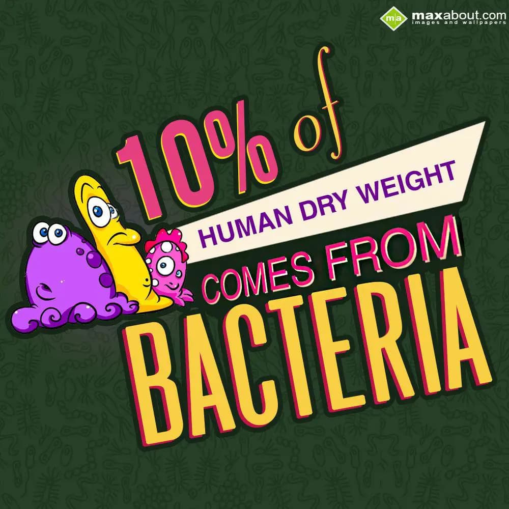 10% of human dry weight comes from bacteria.