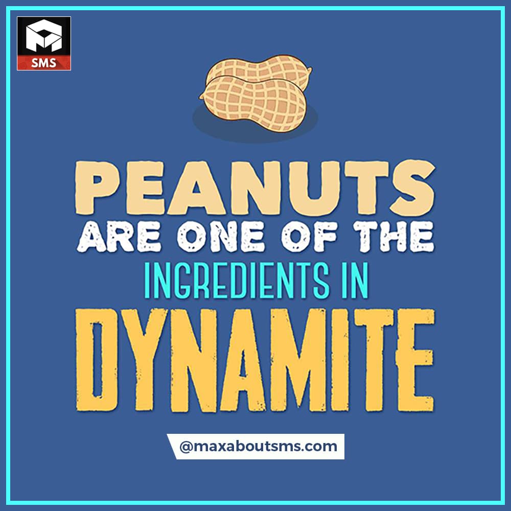 Peanuts are one of the Ingredients in DYNAMITE.