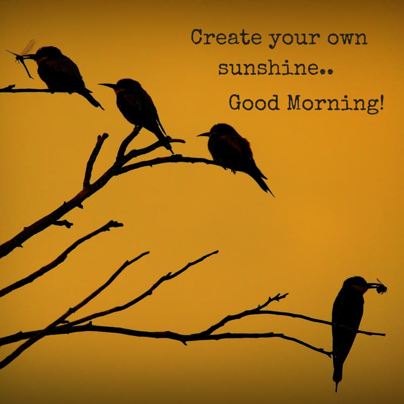 Create your own sunshine. 
Good Morning