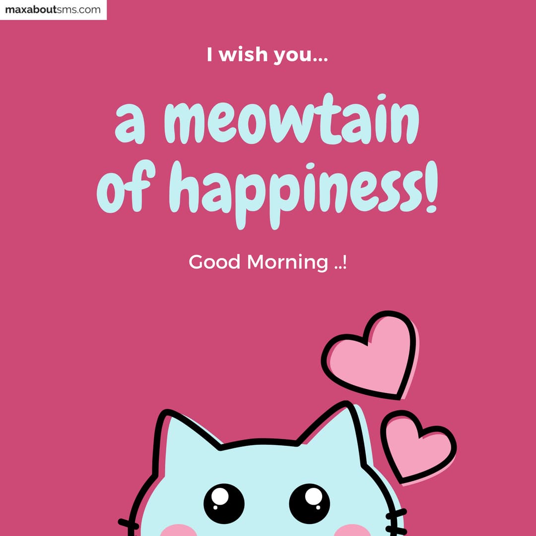 I wish you a Meowtain of happiness.. 
Good Morning