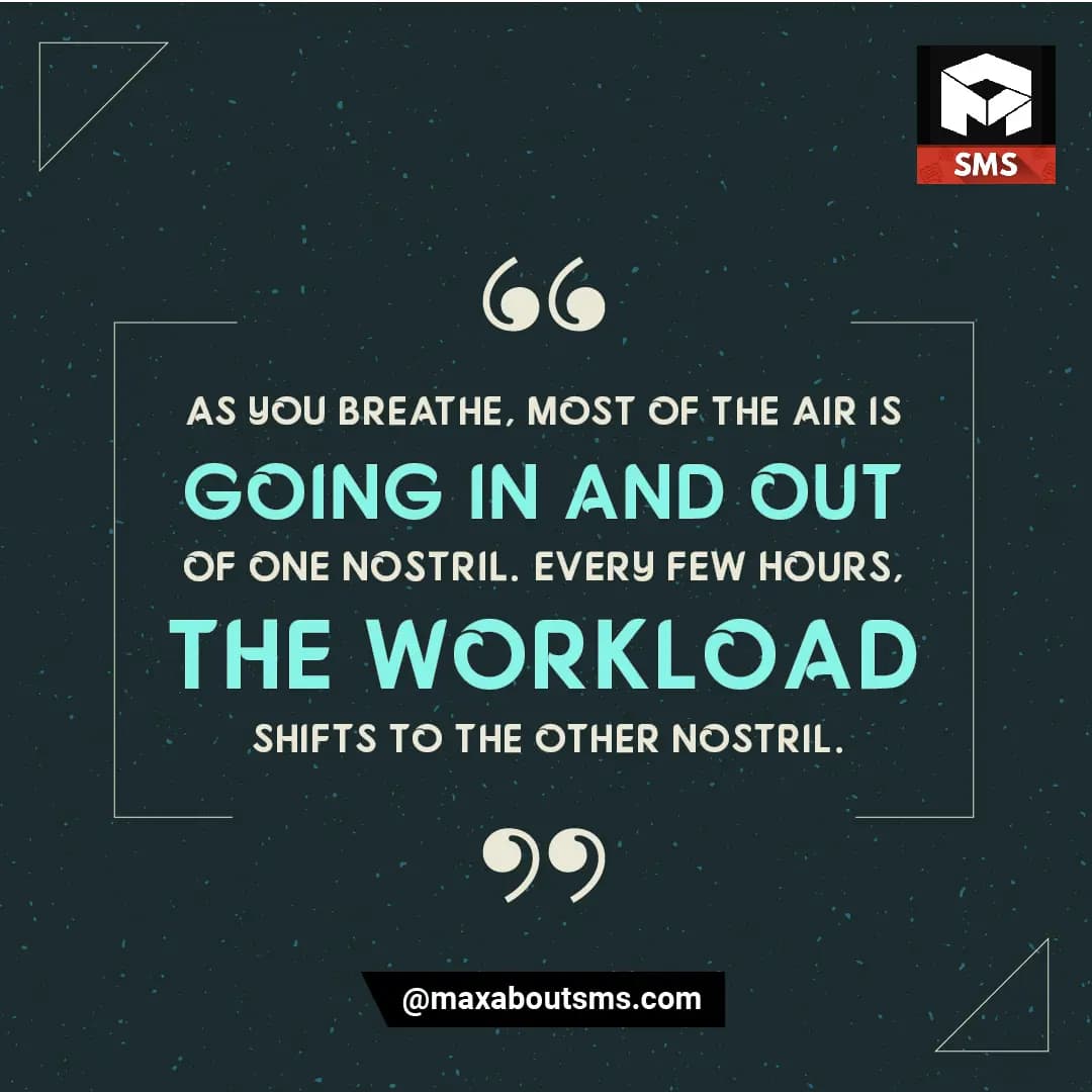 Breathe In.....
Breathe Out...