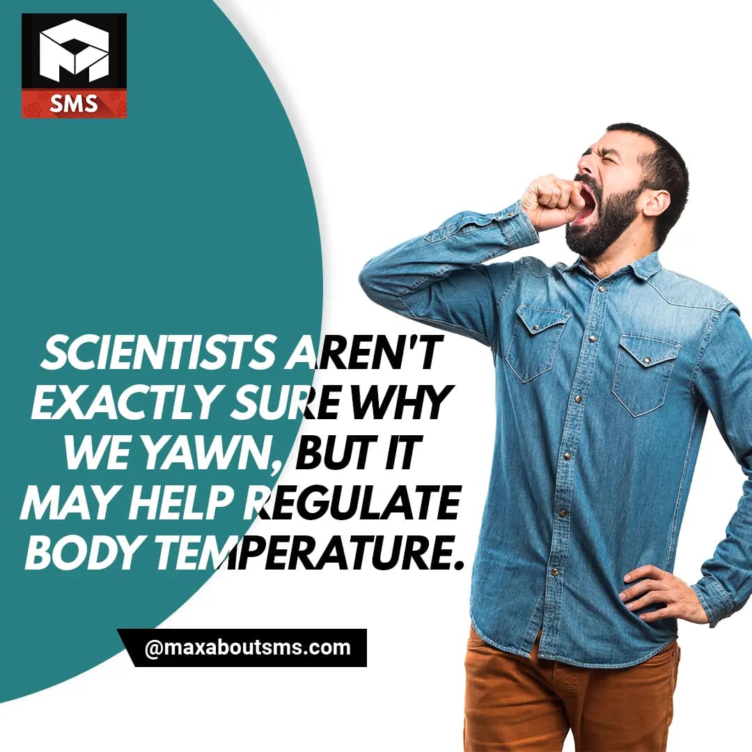 Yawning is Good for Health