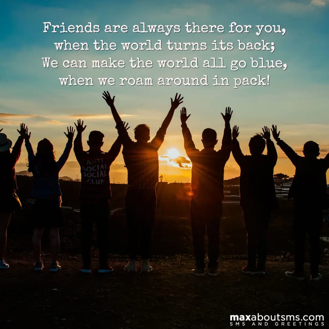 Friends are always there for you, when the world t