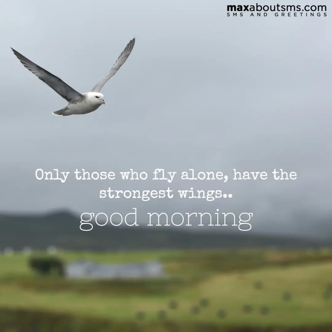 Only those who fly alone, have the strongest wings