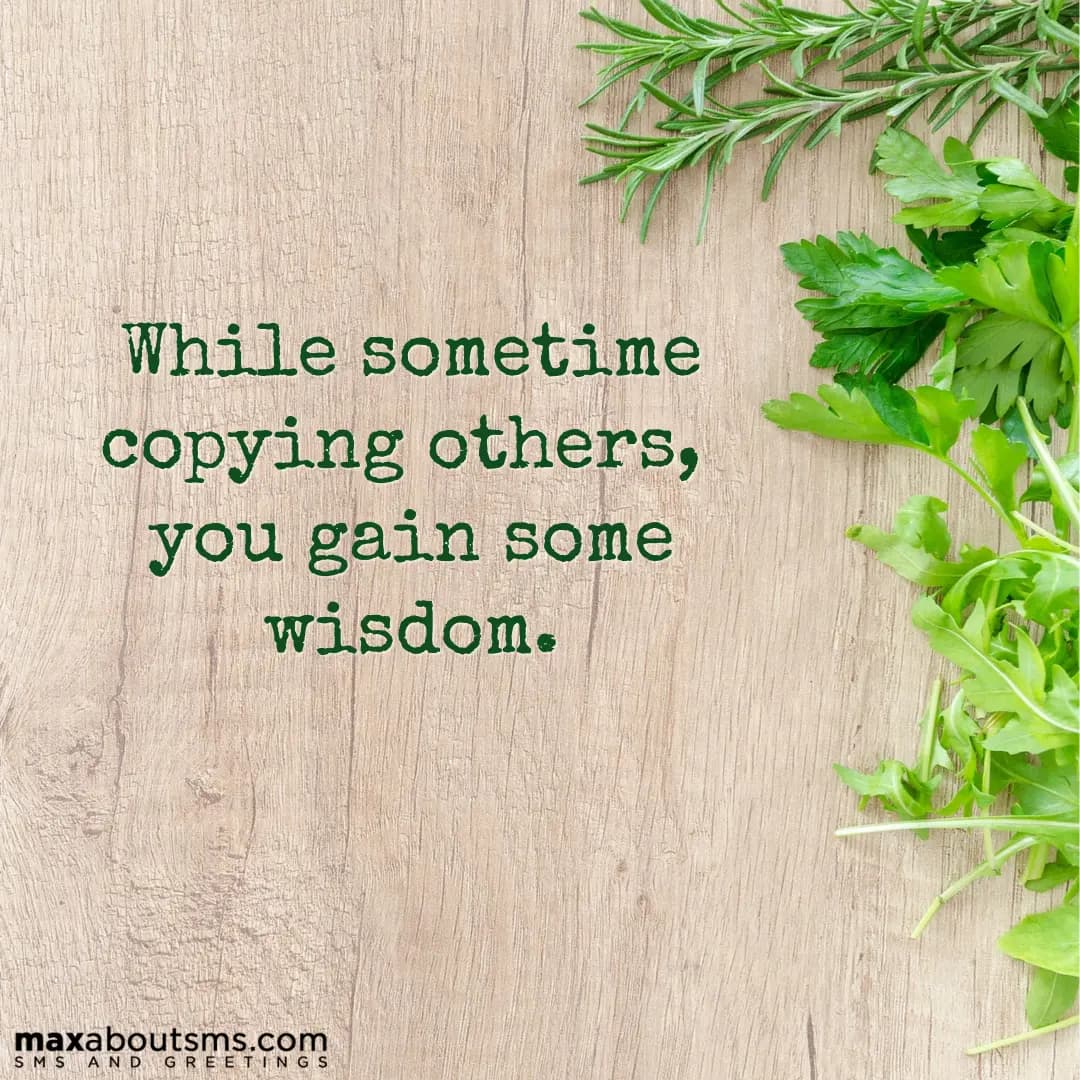 While sometime copying others, you gain some wisdo