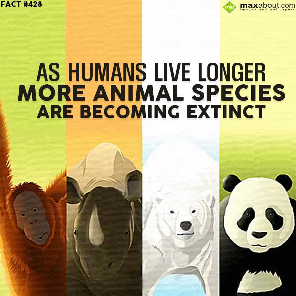 As humans live longer more animal species are beco