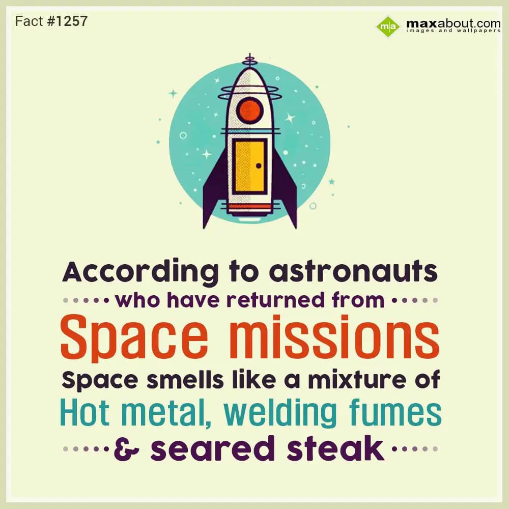 According to astronauts who have returned from spa