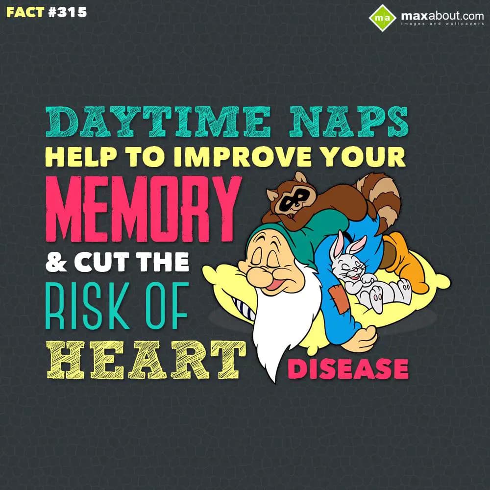 Daytime naps help to improve your memory & cut the