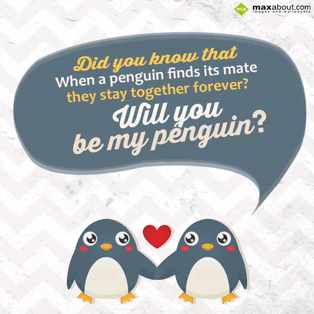 Did you know that?
When a Penguin finds its mate,