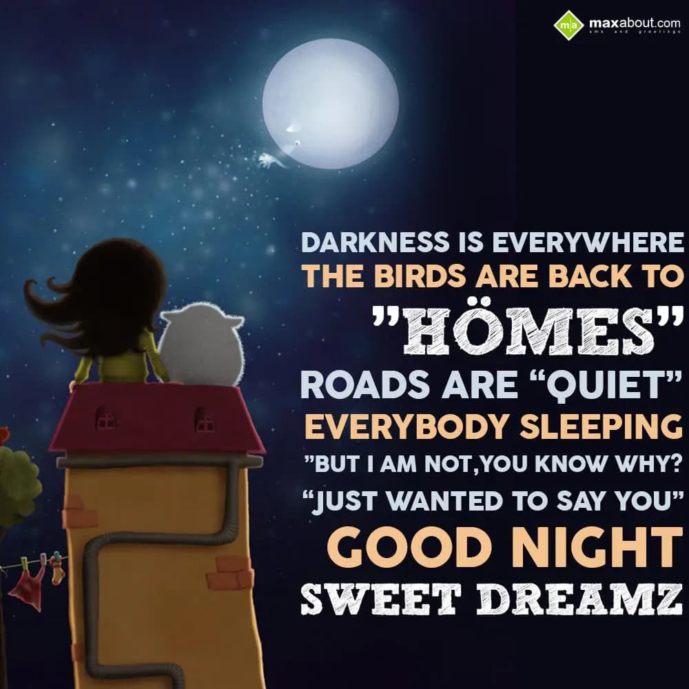 Darkness is everywhere, the birds are back to home