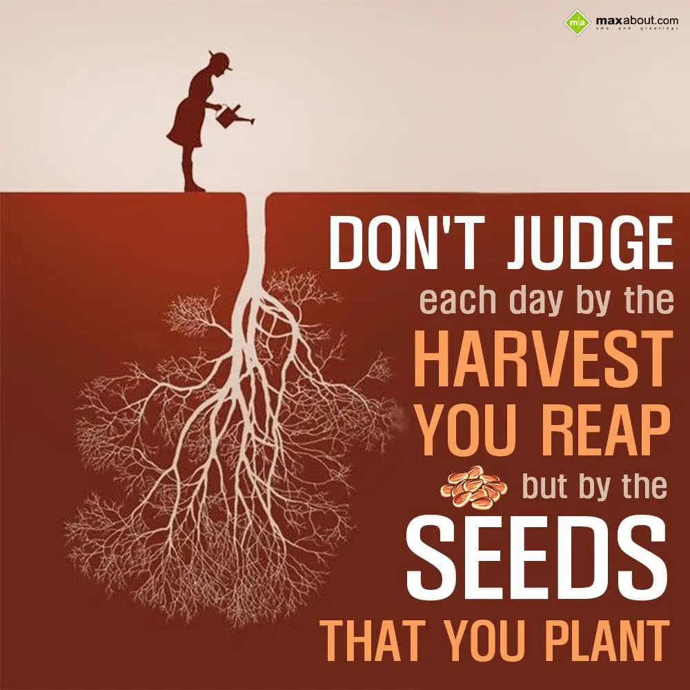 Don't judge each day by the harvest you reap but b