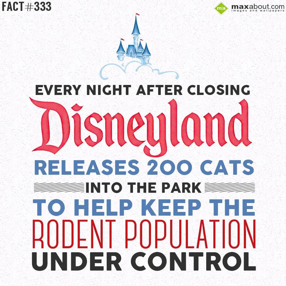 Every night after closing disneyland releases 200 