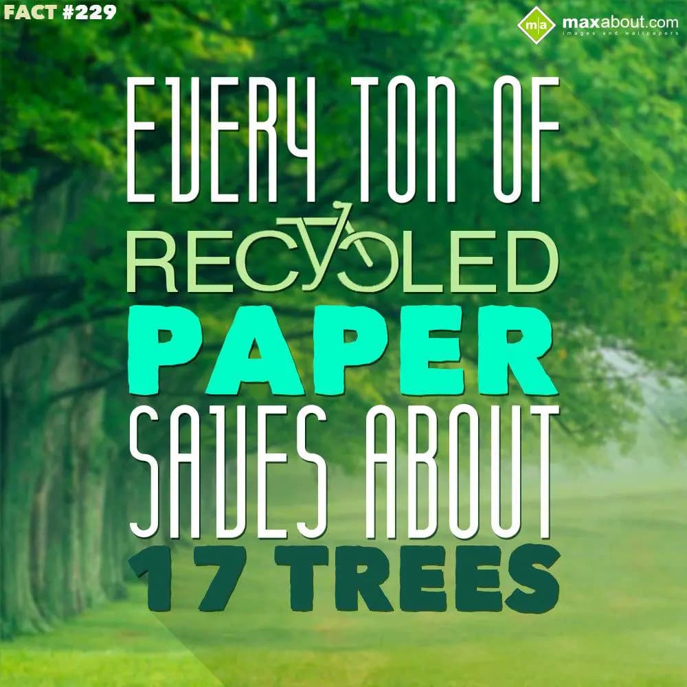 Every ton of recycled paper saves about 17 trees.