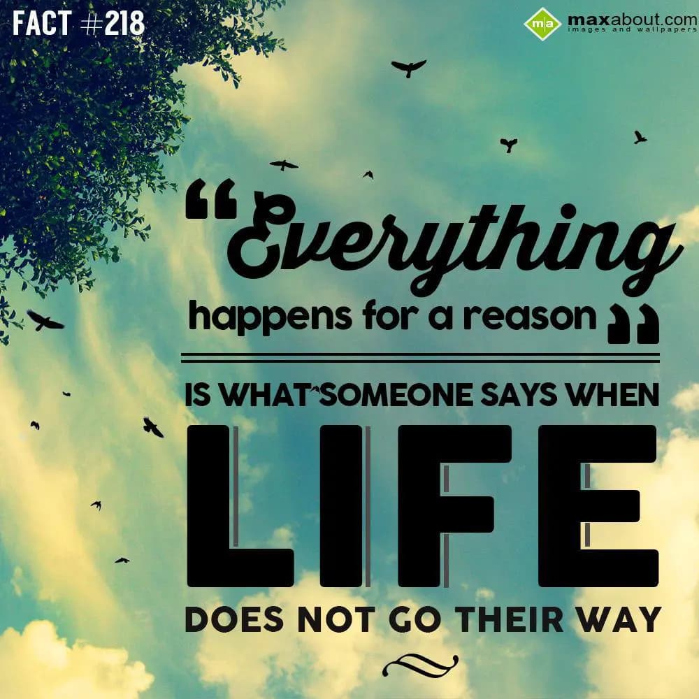 "Everything happens for a reason" is what someone 