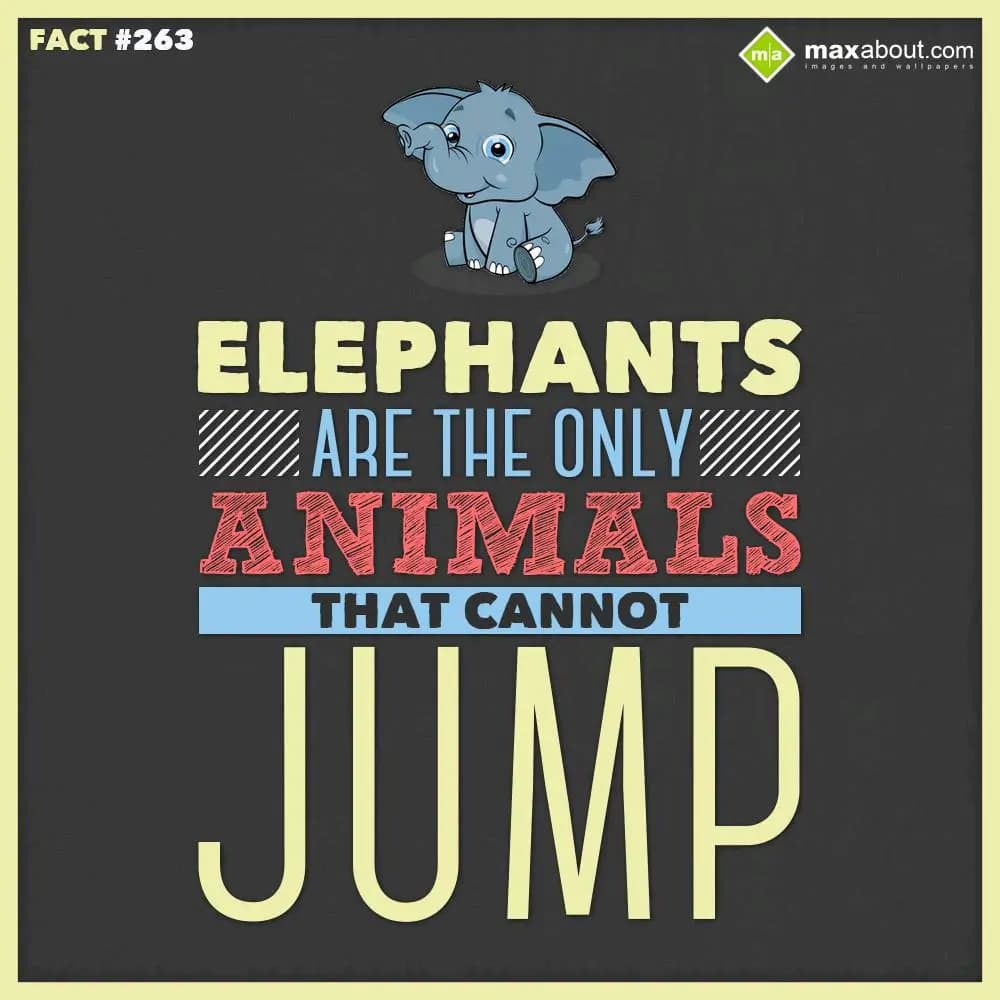 Elephants are the only animals that cannot Jump.