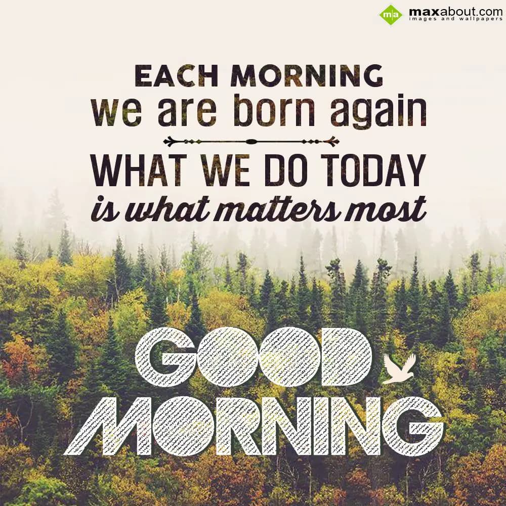 Each morning we are born again...What we do today 