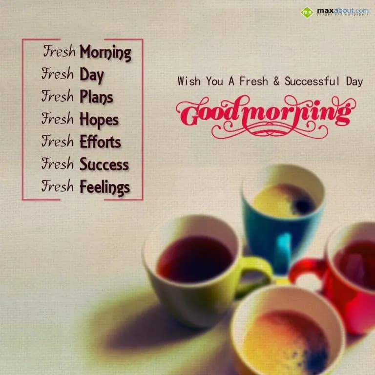Fresh-mrng
Frsh-day
Frsh-plans
Frsh-hopes
Frsh