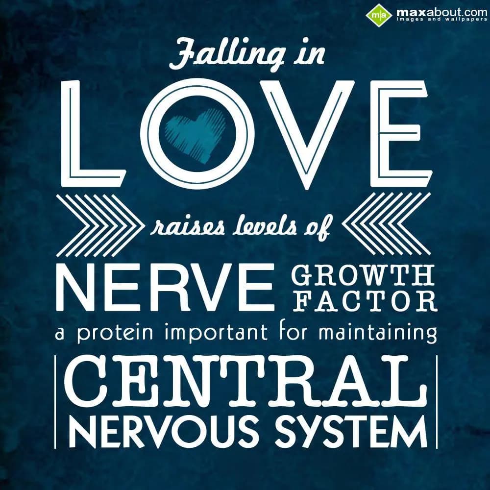 Falling in love raises level of nerve growth facto