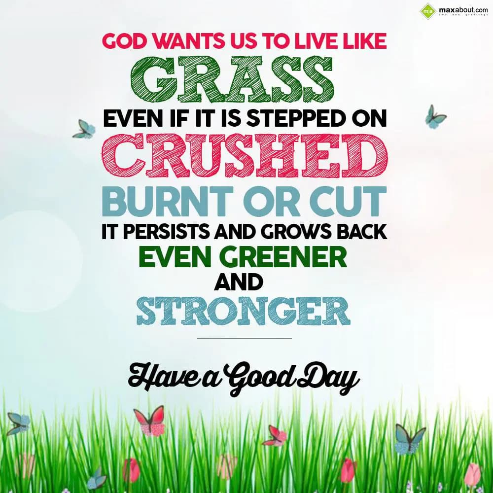 God wants us to live like grass. Even if it is ste