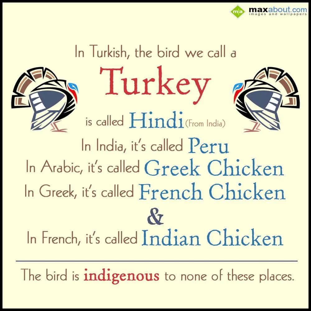 In Turkish, the bird we call a Turkey is called Hi