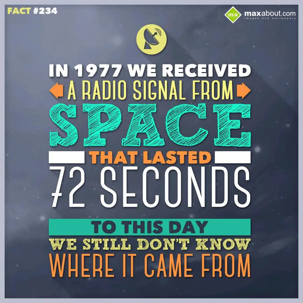In 1977 we received a radio signal from space that
