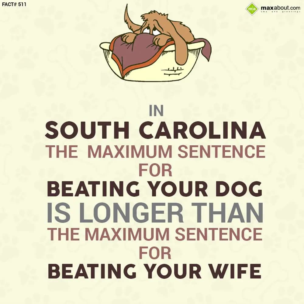 In South Carolina, the maximum sentence for beatin
