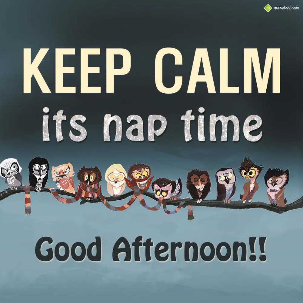 Keep calm its nap time. Good Afternoon!!