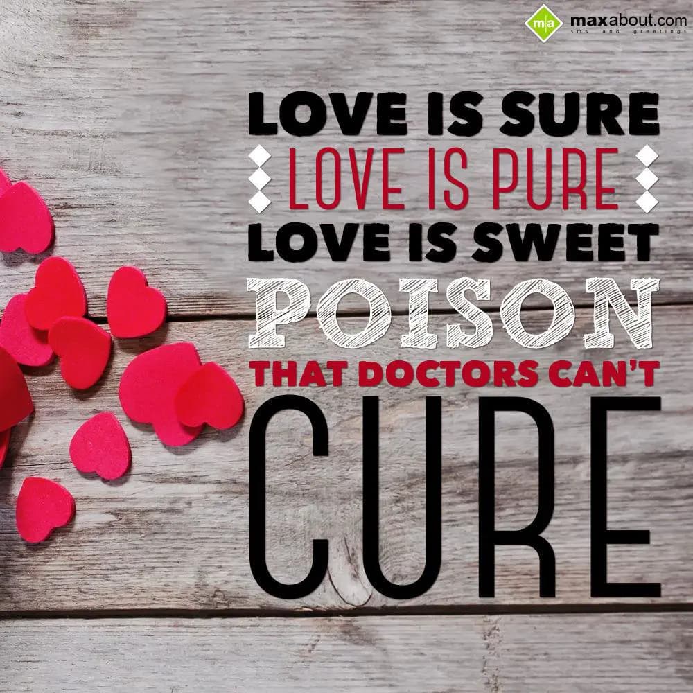 Love is Pure
Love is Sure
Love is sweet poison
