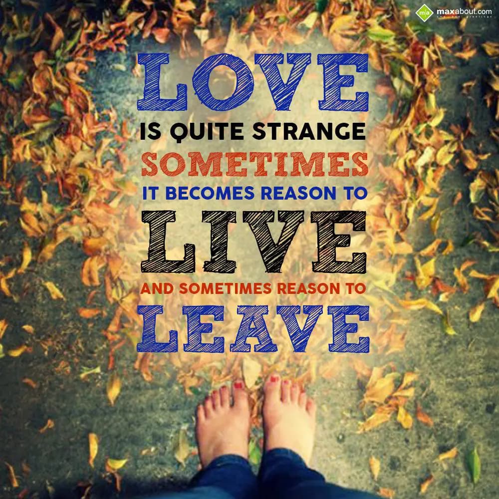 Love is quite strange, sometimes it becomes reason