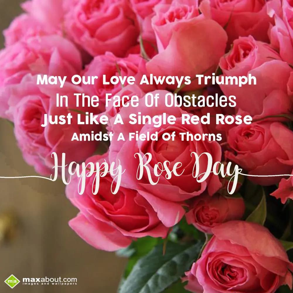 May Our Love Always Triumph In The Face Of Obstacl