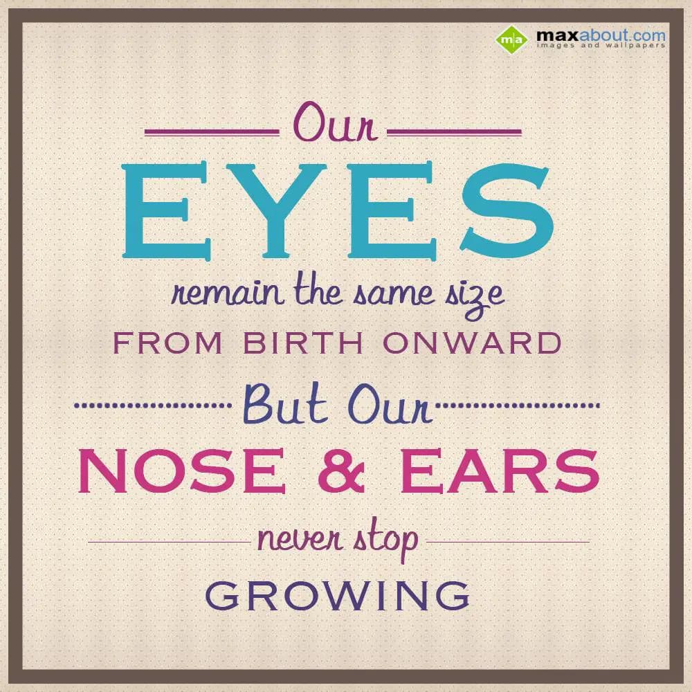 Our eyes remain the same size from birth onward, b
