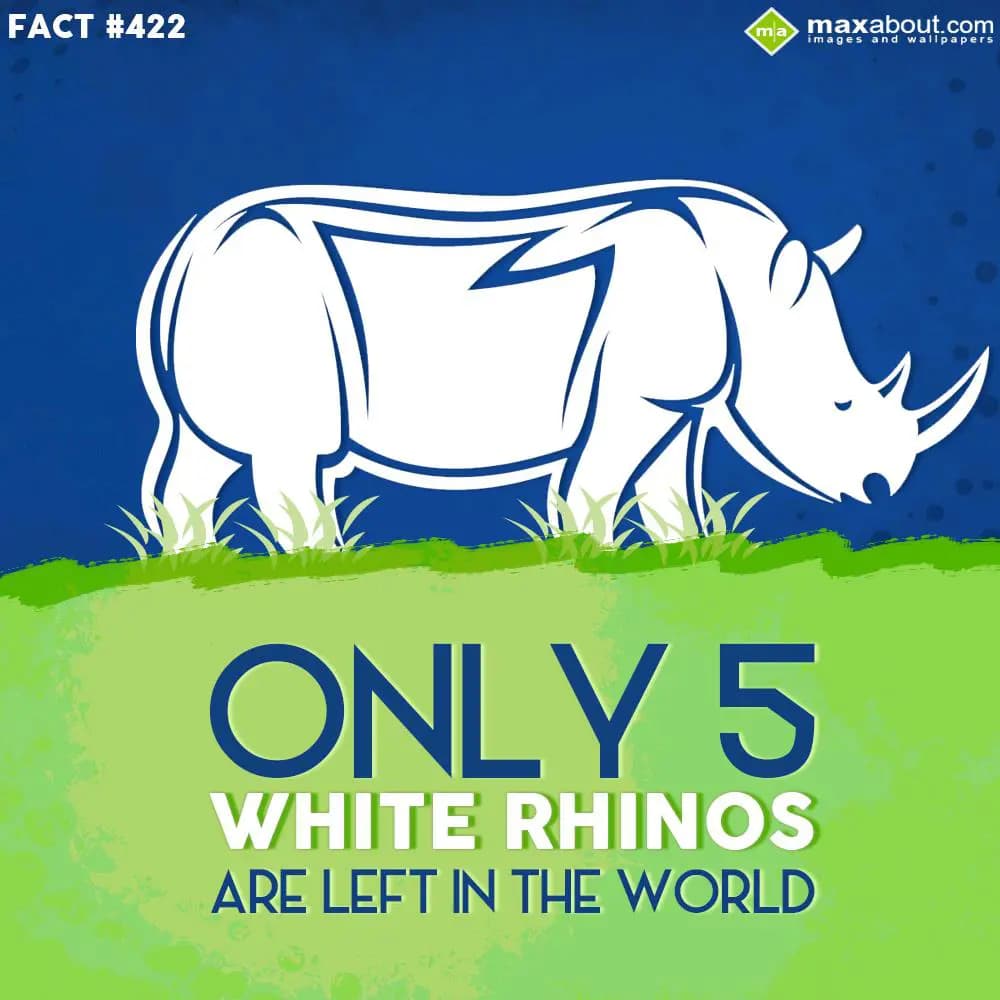 Only 5 White Rhinos are left in the world.
