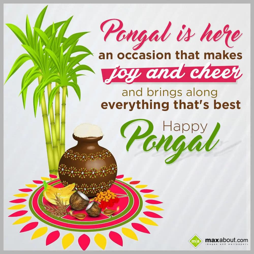 Pongal is here,
An occasion that makes joy and ch