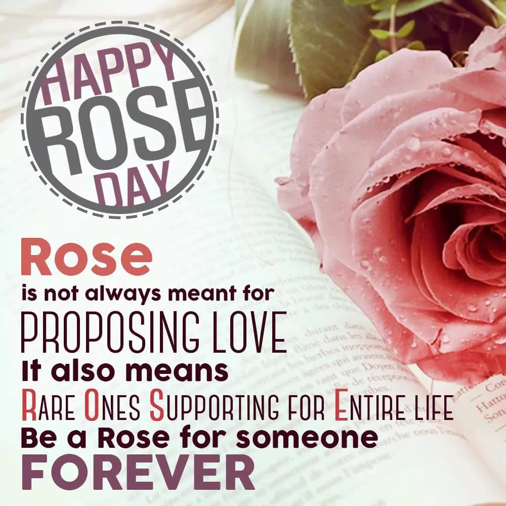 Rose is not always meant for proposing love, it al