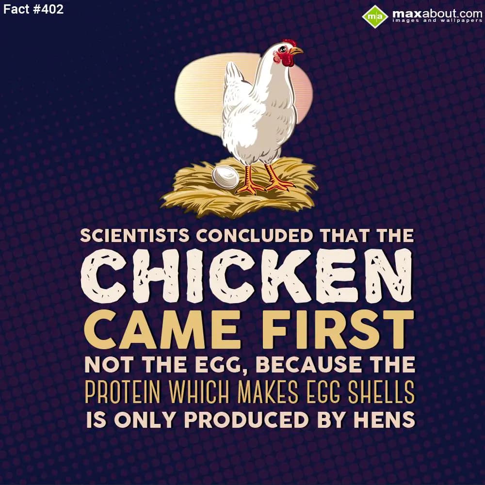 Scientists concluded that the chicken came first n
