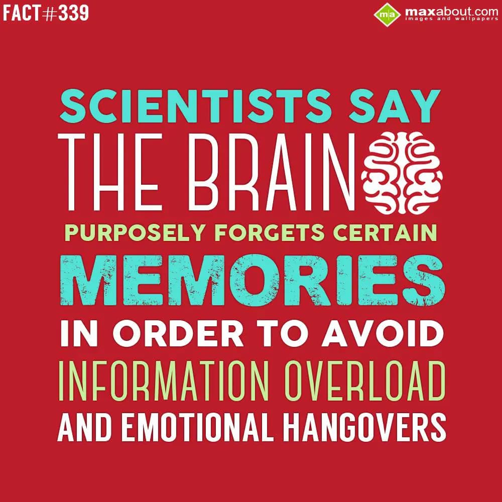 Scientists say the brain purposely forgets certain