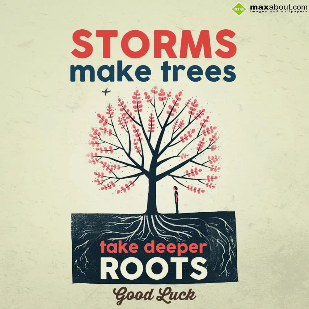 Storms make tress take deeper roots
Good Luck!