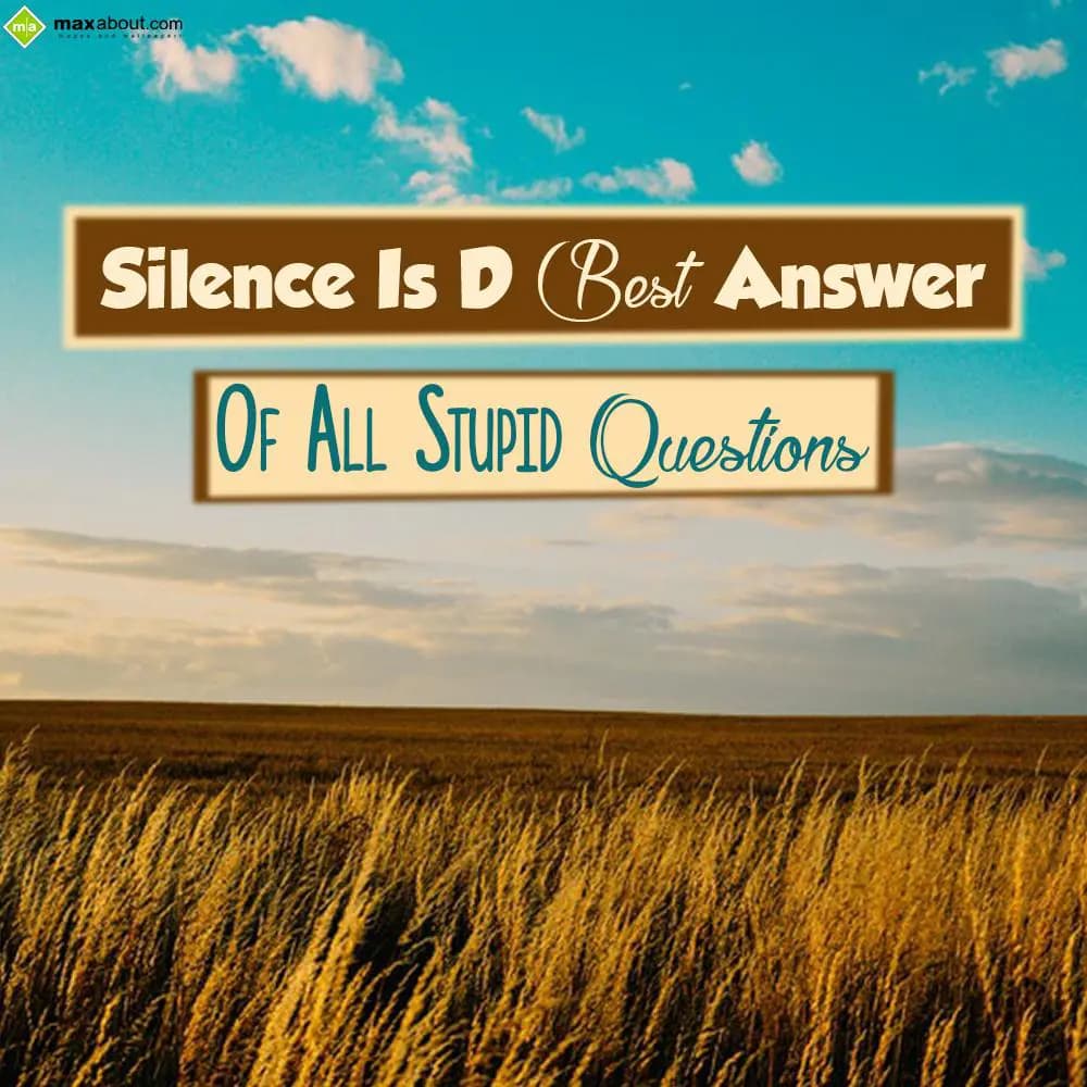 Silence is the best answer of all stupid questions