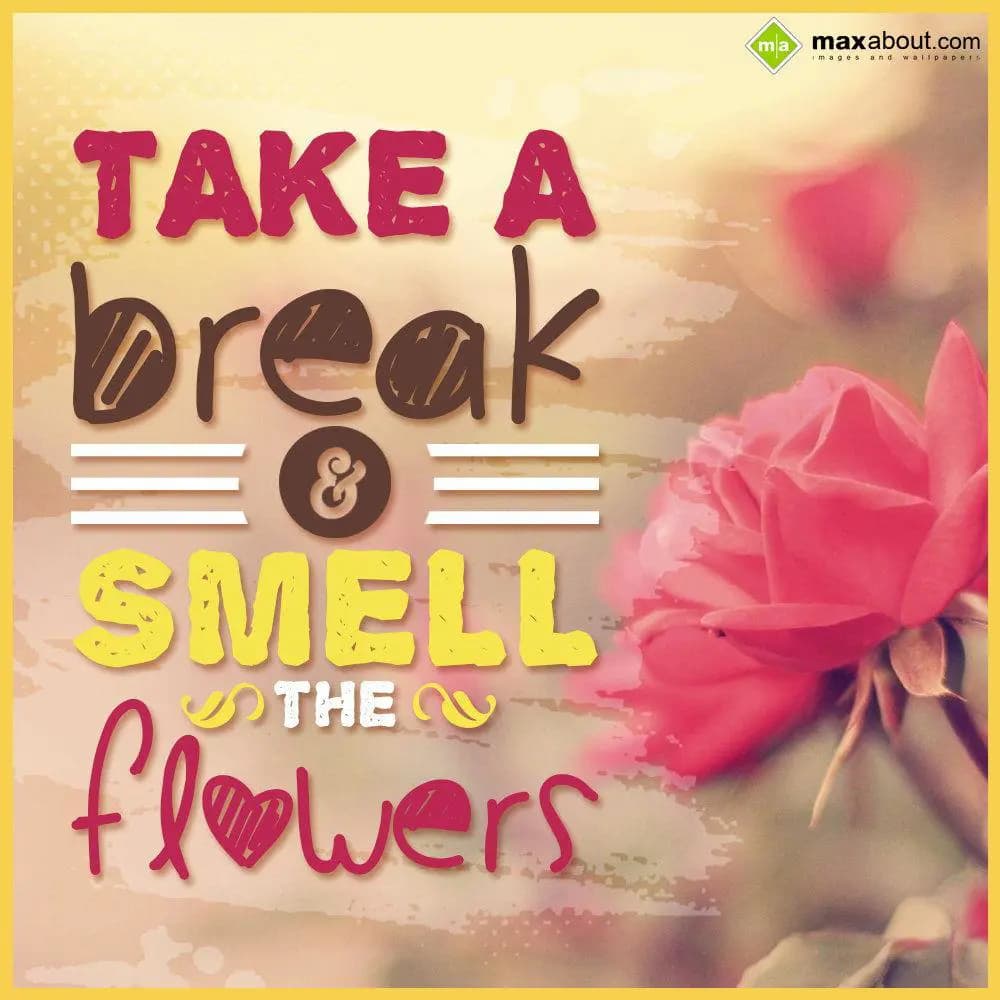 Take a break and smell the flowers.
