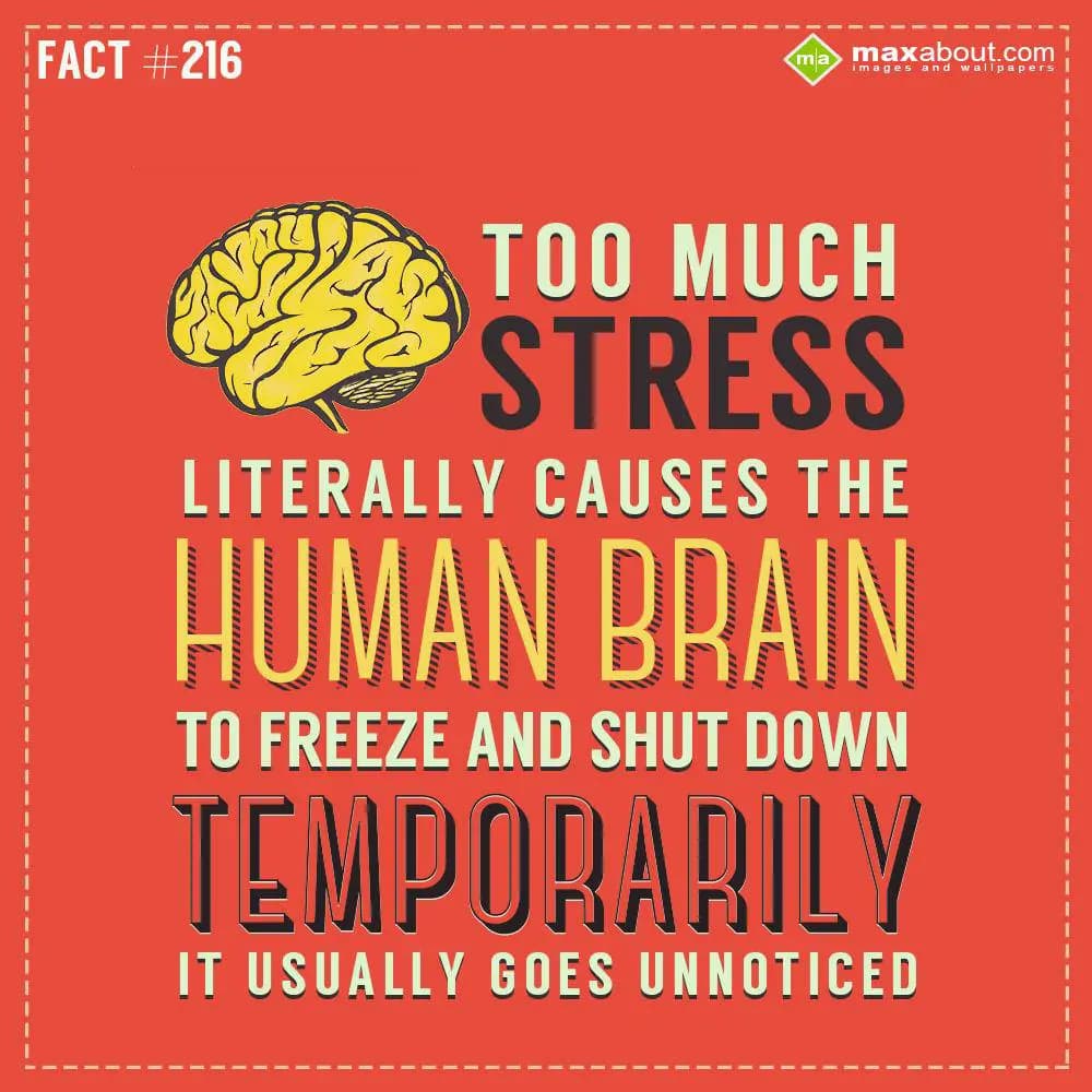 Too much stress literally causes the human brain t