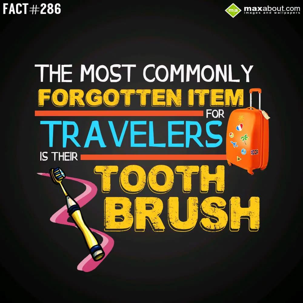 The most commonly frgotten item for travelers is t