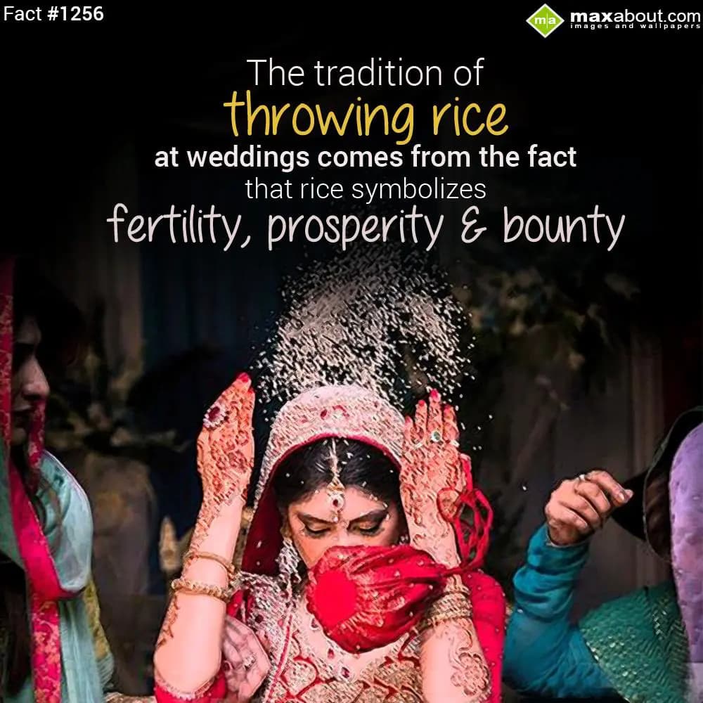 The tradition of throwing rice at wedding comes fr