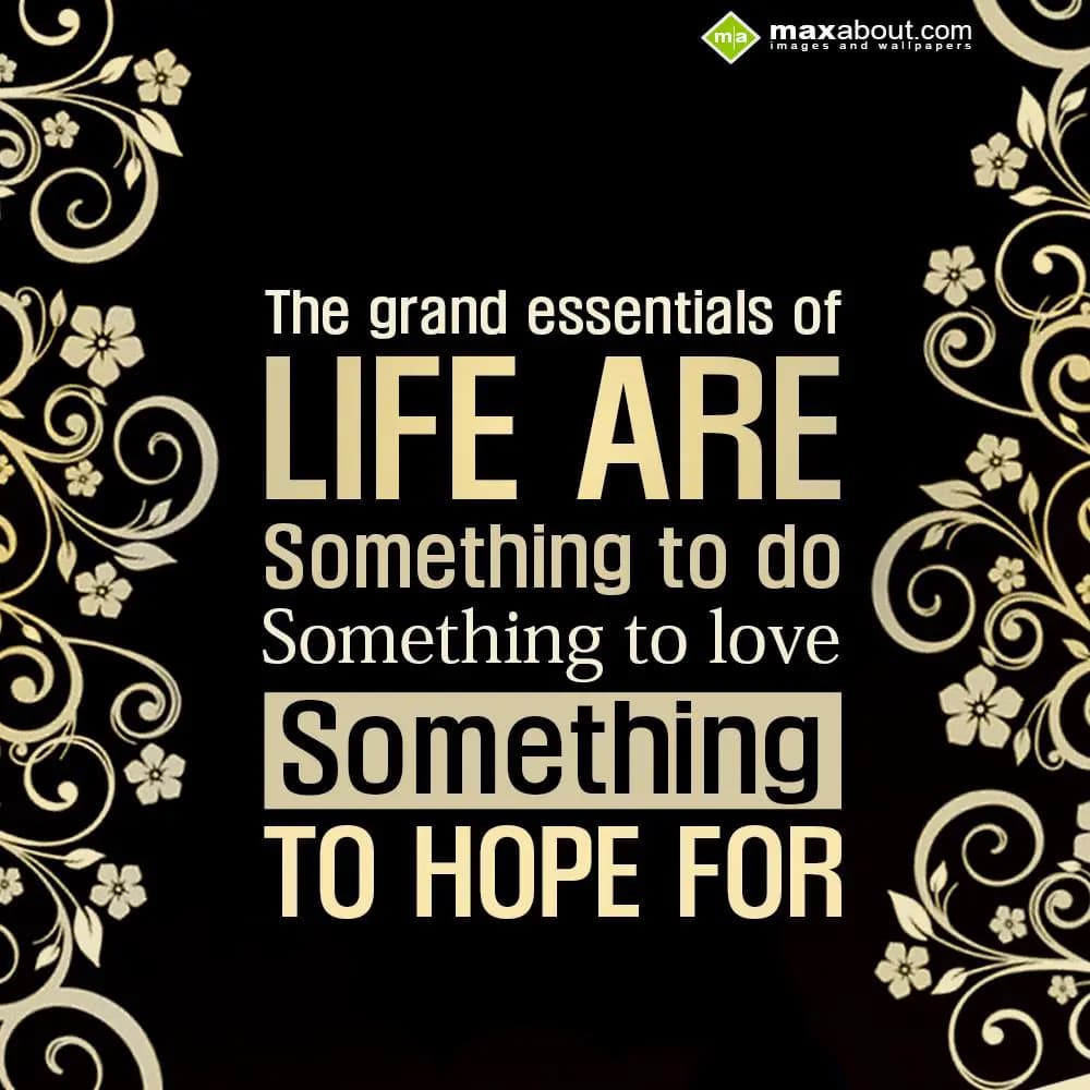 The grand essentials of life are something to life