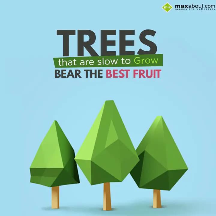 Trees that are slow to grow bear the best fruit.