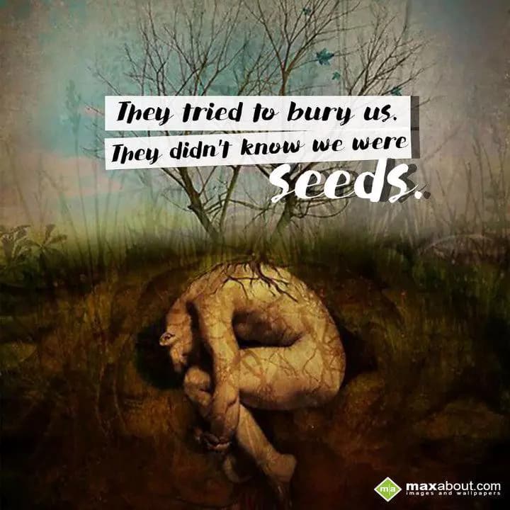 They tried to bury us.
They didn't know we were
