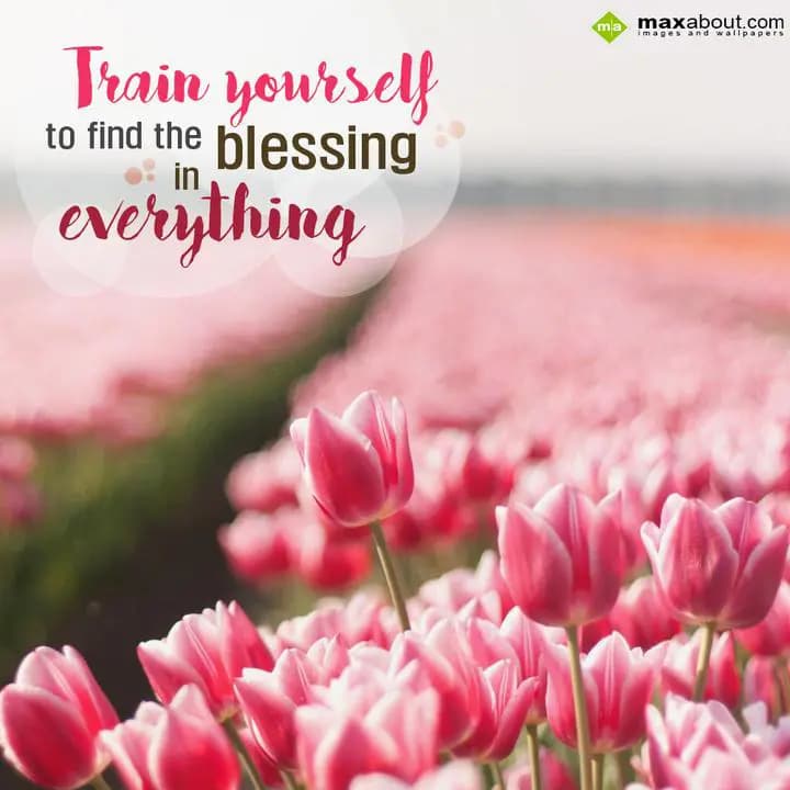 Train yourself to find the blessing in everything.
