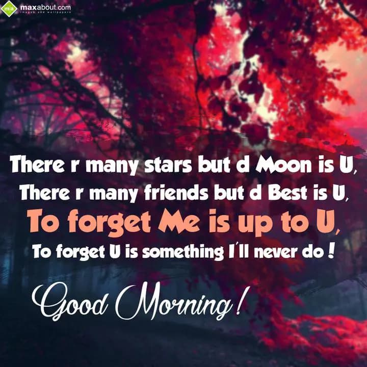 There are many stars but the moon is you,
There a