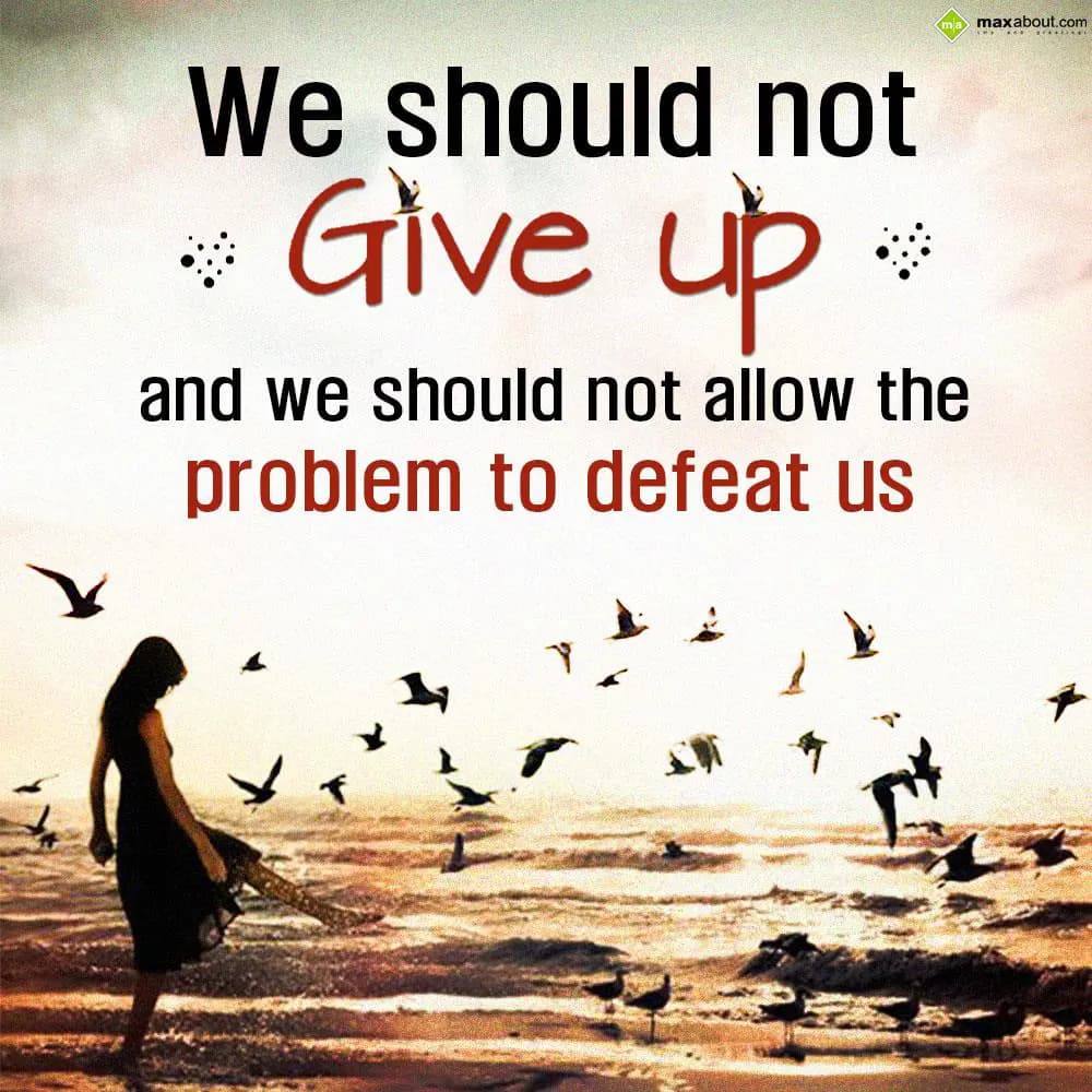 We should not give up and we should not allow the 
