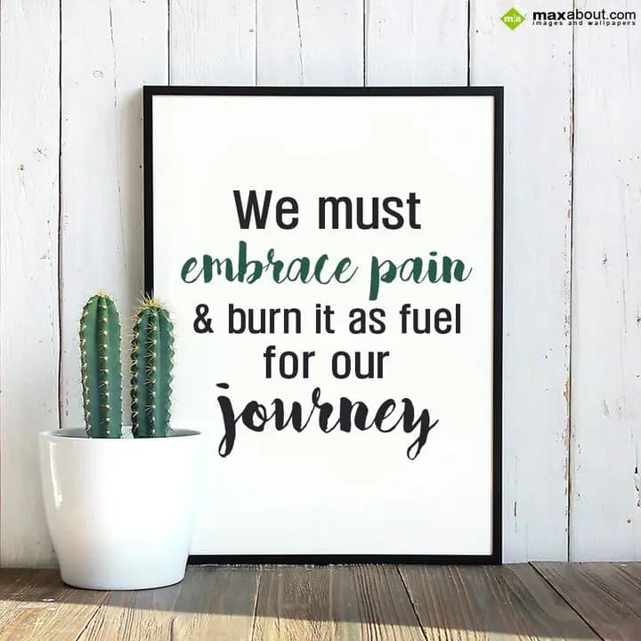We must embrace pain & burn it as fuel for oue jou