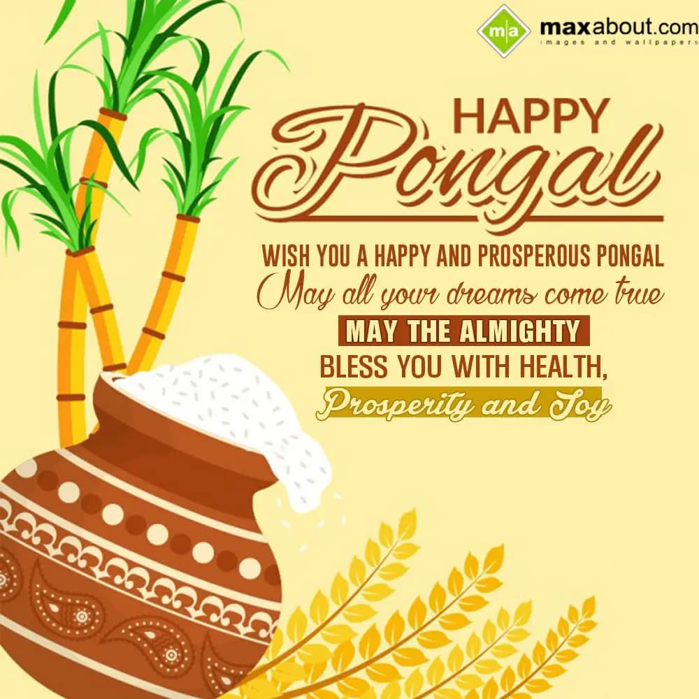 Wish you a happy and prosperous Pongal,
May all y